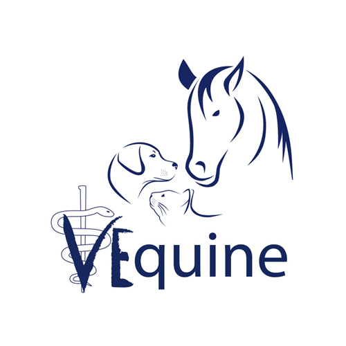 shopVEquine
