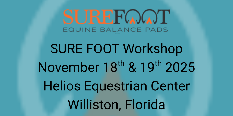 SFE - Banner Workshop Website